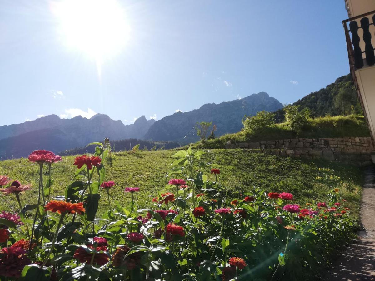 Appartamenti Rosenberger Molveno Exterior foto